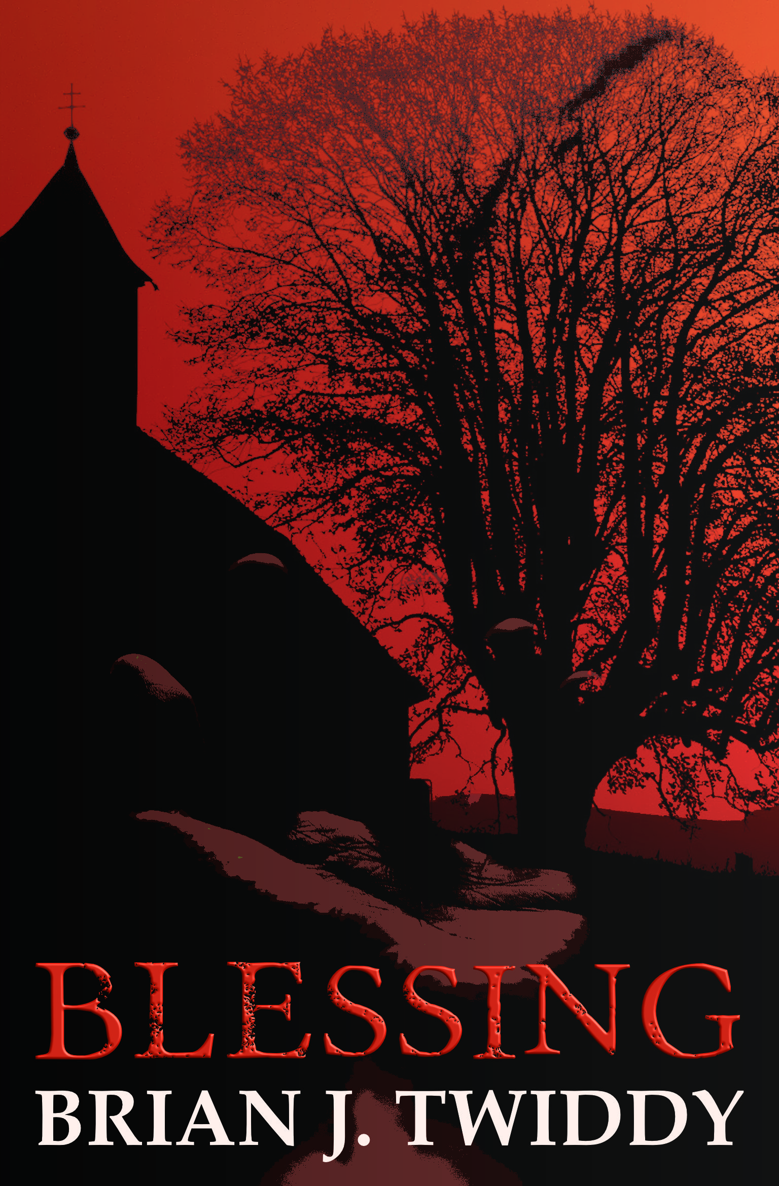 Blessing by Brian J Twiddy — cover